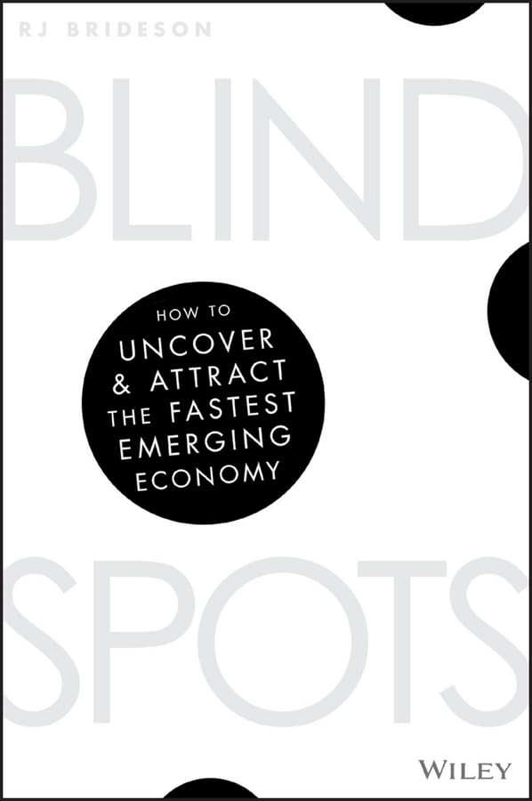 Blind Spots How to Uncover and Attract the Fastest Emerging Economy