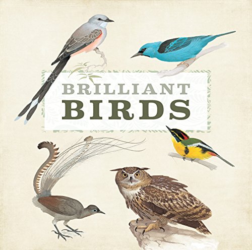 Brilliant Birds