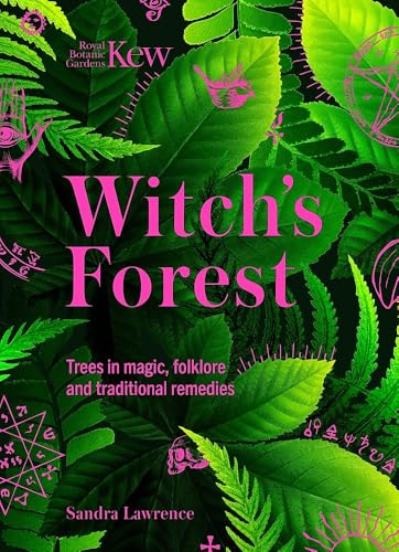 Witch's Forest Trees in Magic, Folklore and Traditional Remedies
