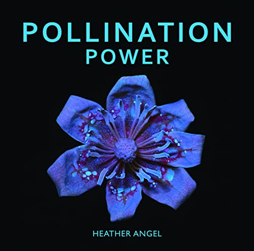 Pollination Power