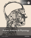 Human Anatomy and Physiology, Global Edition [Paperback] [Sep 14, 2015] Erin, C. Amerman (contributions)
